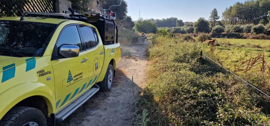 Trabalhos de manutenção em caminhos públicos