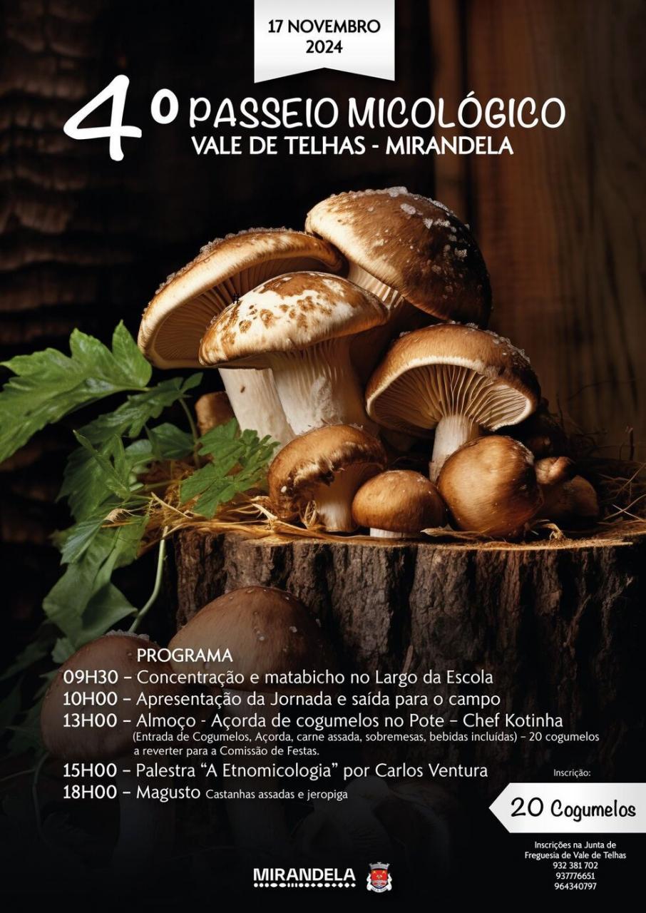 IV Passeio Micológico - Vale de Telhas - Marque esta data e participe neste mergulho na biodiversidade local!